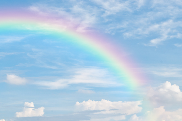 空に虹